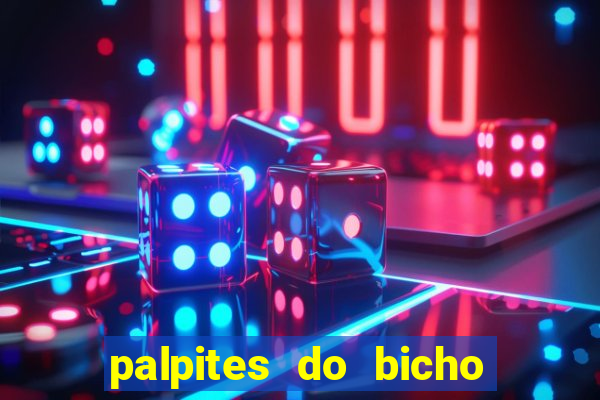 palpites do bicho no celular